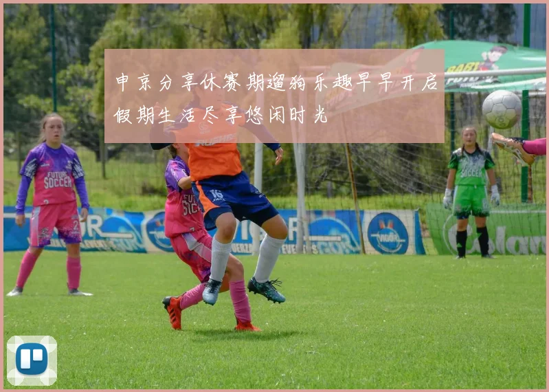 申京分享休赛期遛狗乐趣早早开启假期生活尽享悠闲时光